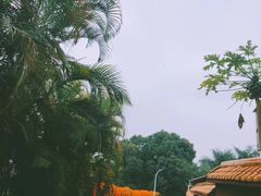 -梵天禅寺