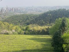 -敬亭山风景名胜区