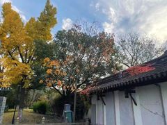 -苏州文庙(姑苏区)