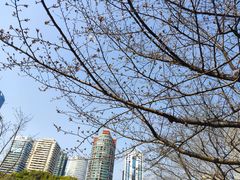 -新虹桥中心花园