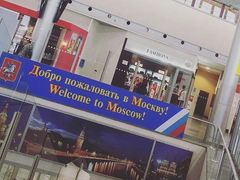 -谢列梅捷沃国际机场