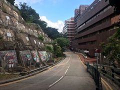 -香港大学