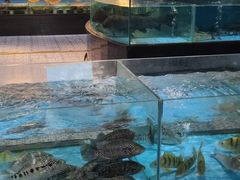 水产区-都市阳光海鲜城(青山湖店)