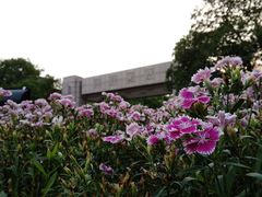 -浙江大学(玉泉校区)