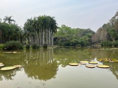 -中国科学院西双版纳热带植物园