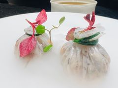 -觀芷隐轩
