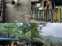 -幽岚山·童话森林