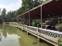 -白鹭湾湿地公园