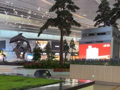 -青岛胶东国际机场