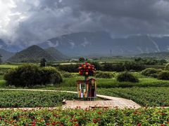 -青峰峡国家森林公园