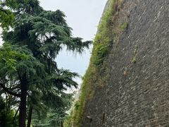 -紫金山山顶公园