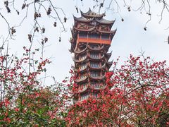 -塔子山公园