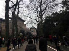 -武汉大学-樱园