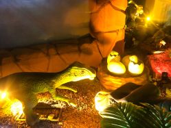 -恐龙探索乐园(磁器口店)