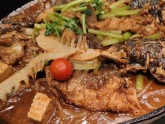-老板恋上鱼(振华商厦店)