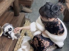 -福尔喵斯探案馆实景搜证·沉浸式剧本杀