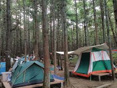 -重庆睡佛山森林公园