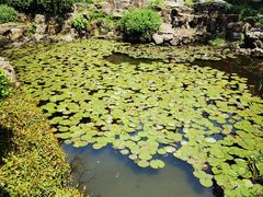 -上海醉白池公园