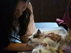 -美联众合动物医院·24h转诊中心
