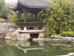 -武汉园博园(武汉自然博物馆)