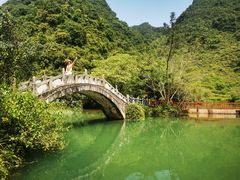 -靖西鹅泉风景区