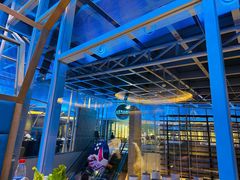-王家渡火锅店(棕榈泉店)