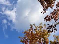 -楼外楼(西湖景区孤山路店)