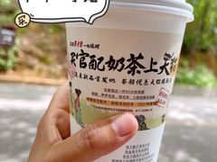 -茶颜悦色(岳麓山顶店)