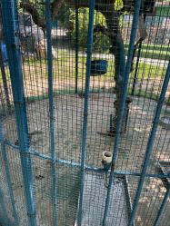 -萌宠亲子动物乐园(槐房万达店)