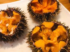 -海胆小馆(东北水饺·春柳店)