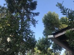 -龙泉山庄