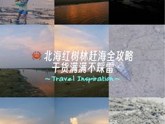 -北海金海湾红树林生态旅游区