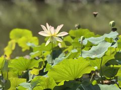 -木塔寺遗址生态公园