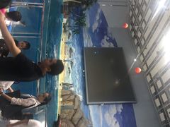 -福州罗源湾海洋世界旅游区