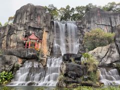 -金鸡山公园