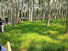 -仁和公园(顺义区)