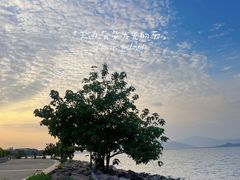 -深圳湾公园(南山区)
