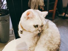 -研途咖啡馆(健康路店)