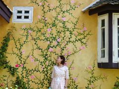 -黄色小屋