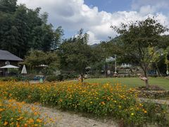 -宁波浙东大竹海景区