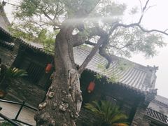 -平遥县衙