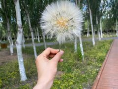 -东郊湿地公园