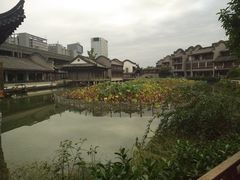 -龙潭水乡