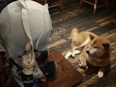 -三目仓咖啡(贤南路店)