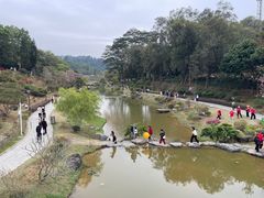 -东莞植物园