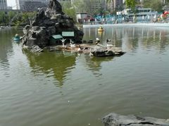 -团结湖公园