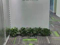 -大班家政月嫂育儿嫂(深圳NO.1店)