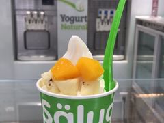 澳洲酸奶-Salud撒露欧洲冻酸奶(798艺术区店)