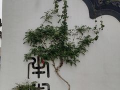 -青果巷历史文化街区