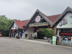 -上海海湾国家森林公园